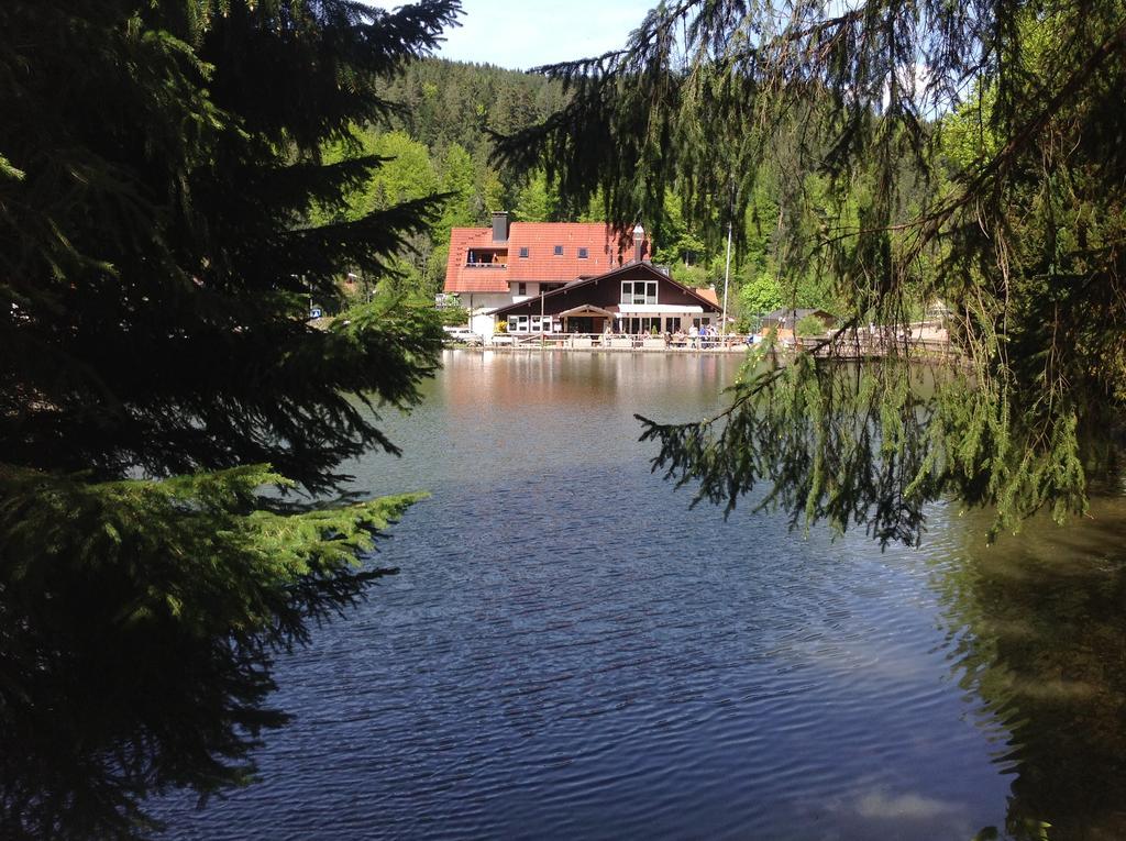 Self-Check-In Ferienwohnungen & Apartments Am Bergsee Triberg im Schwarzwald Kültér fotó